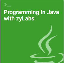 ZyBooks course on programming in Java