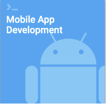 Zybooks course on mobile app development